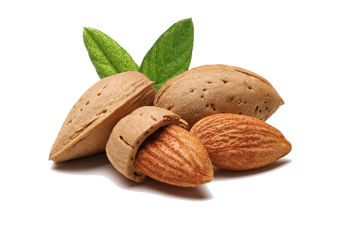 Required Environment for Almond Farming