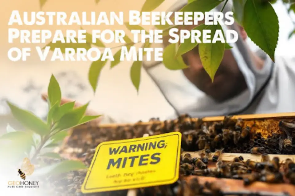 The Spread of Varroa Destructor and Its Impact on Australian Beekeeping