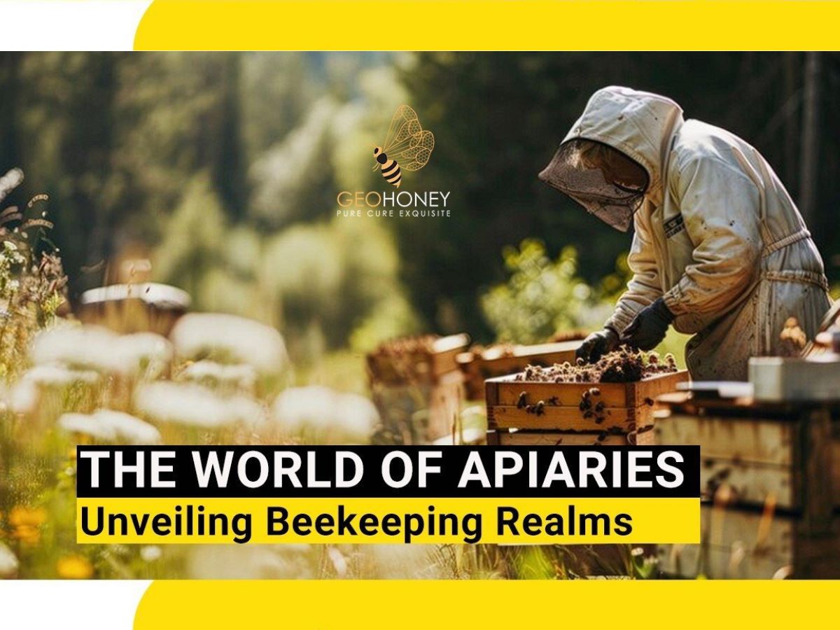 The World of Apiaries: Unveiling Beekeeping Realms