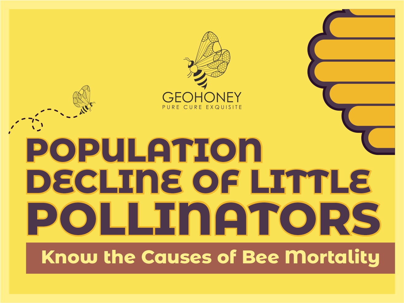 Population Decline Of Little Pollinators: Know The Causes Of Bee Mortality