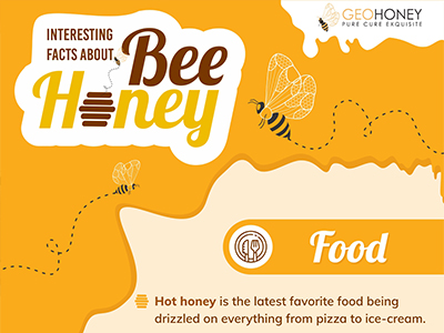 Interesting Facts About Bee Honey