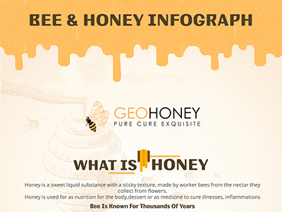 Bee & Honey Infograph