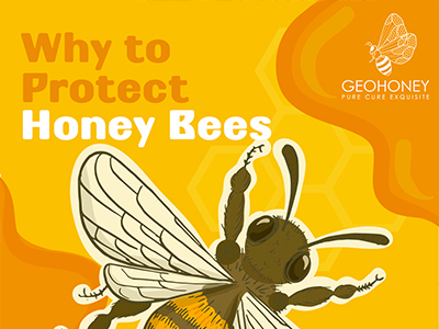 Why To Protect Honey Bees?