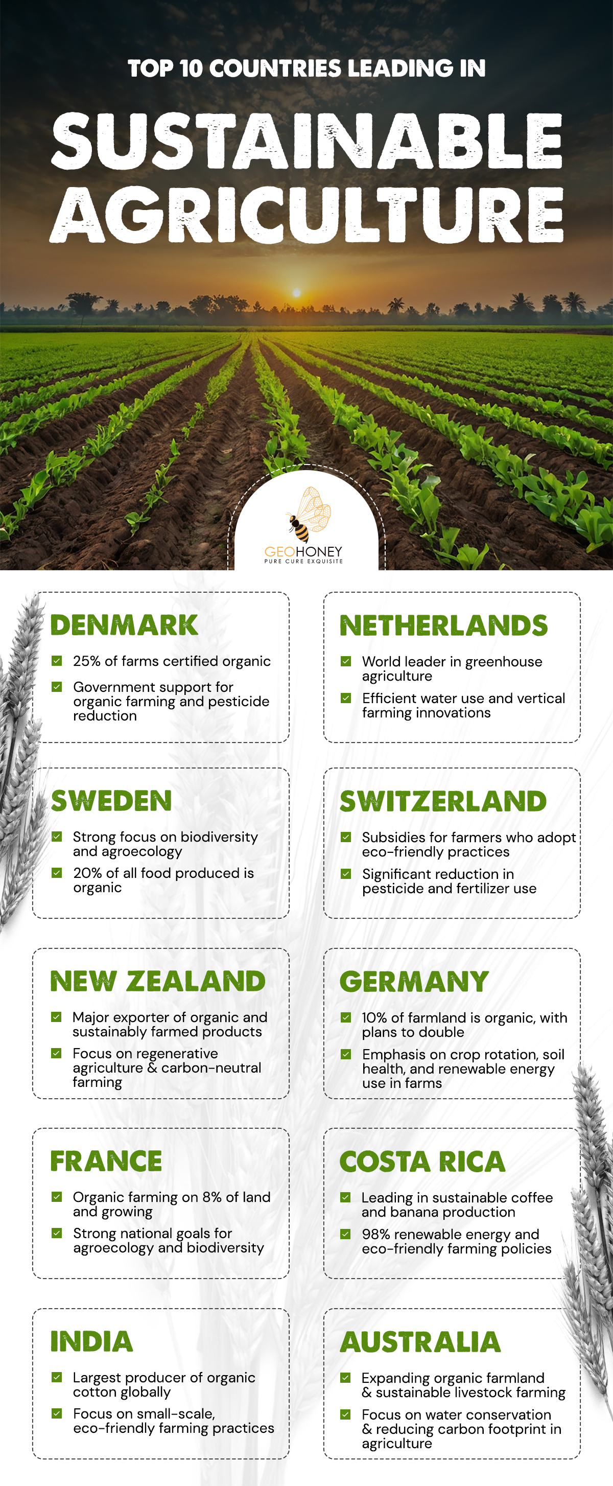 Top 10 Countries Leading in Sustainable Agriculture