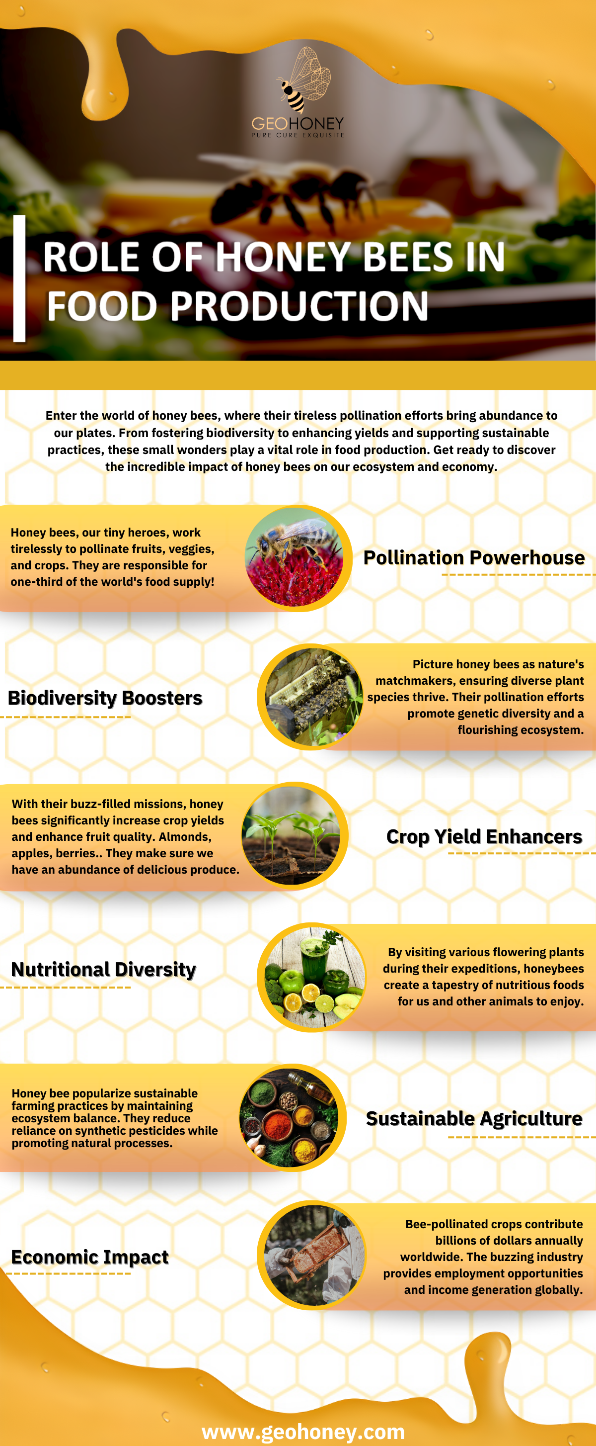 Honey bees, the pollination powerhouses, play a vital role in food production.