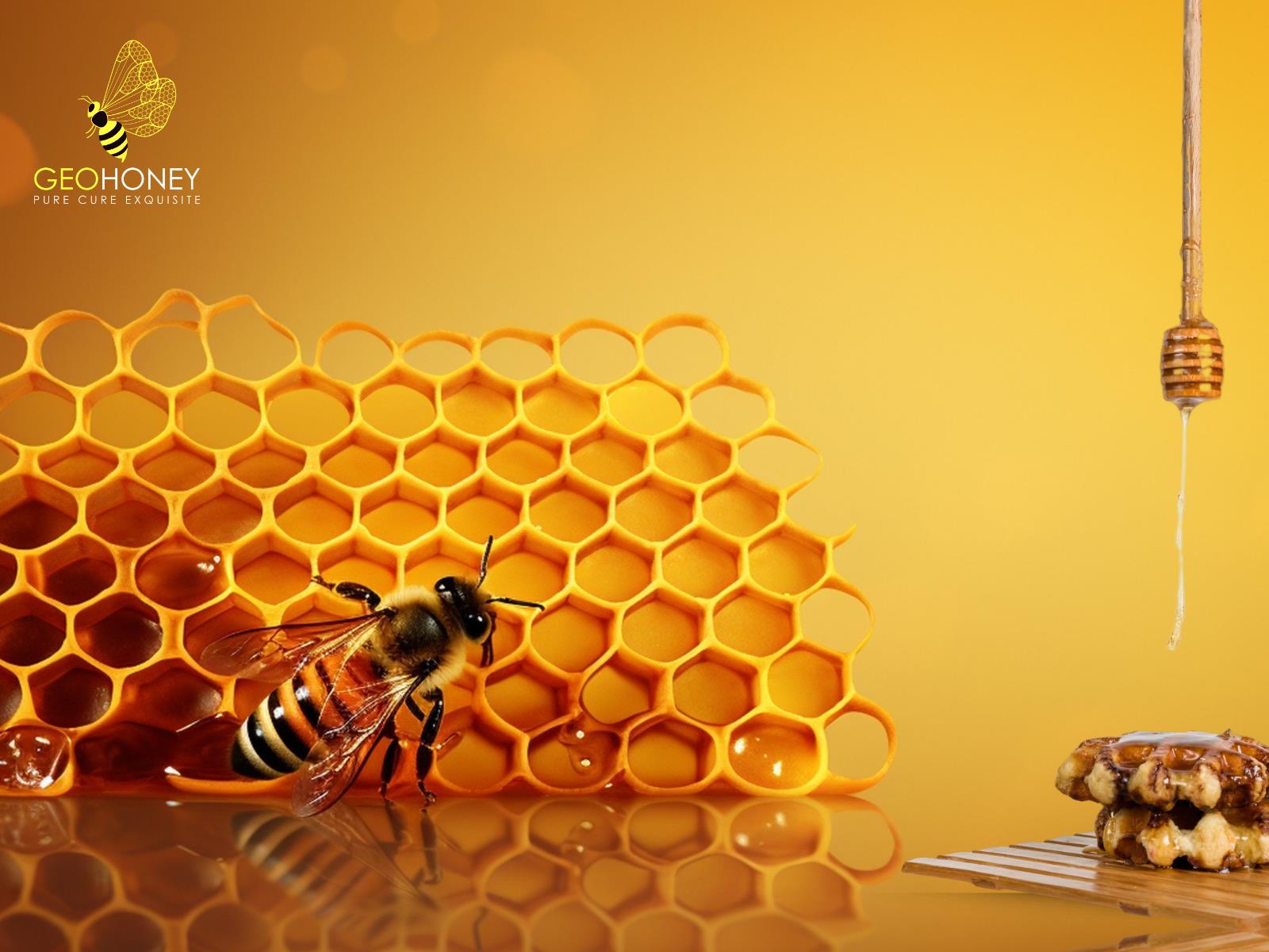 The Bees Knees: Exploring Honey in the Digital Age