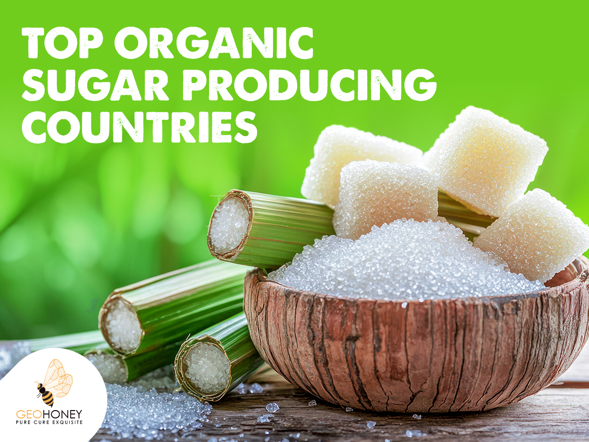 Top Organic Sugar Producing Countries