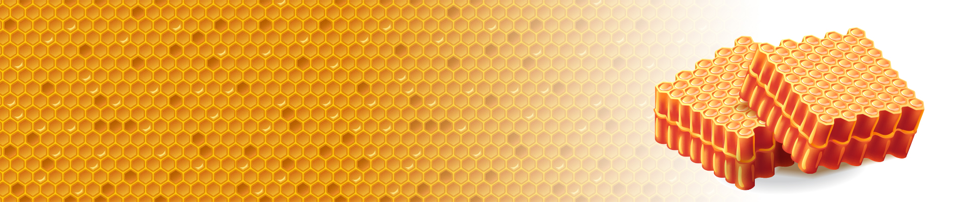 Hexagonal Shape Of Honeycomb Cells