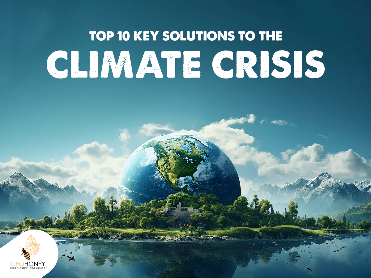 Top 10 Key Solutions to the Climate Crisis