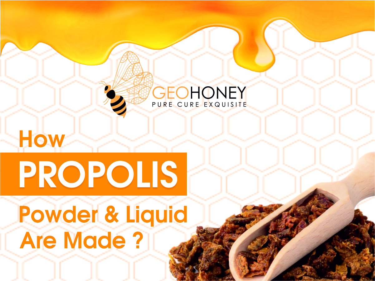 How Propolis Powder and Liquid are made?