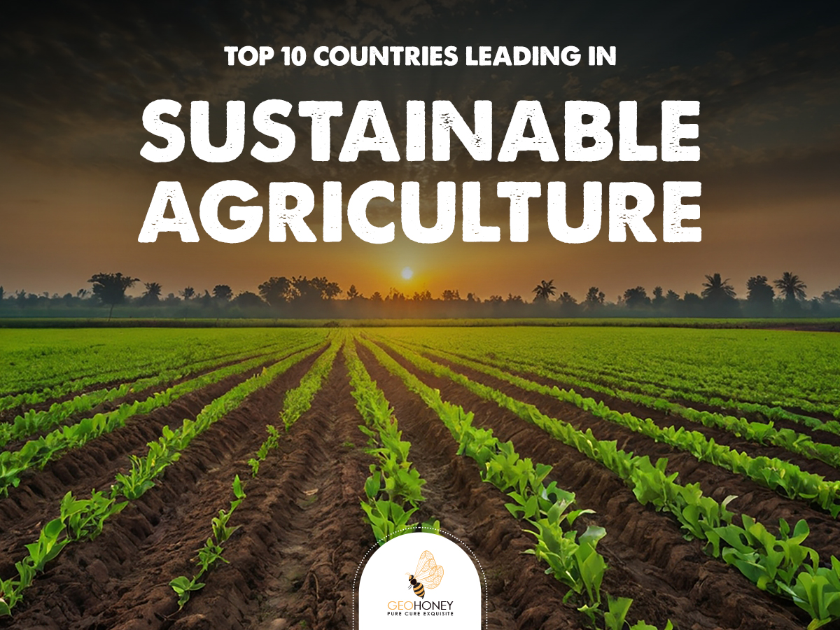 Top 10 Countries Leading in Sustainable Agriculture