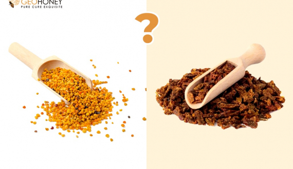 Bee Pollen and Propolis – What is the Difference?