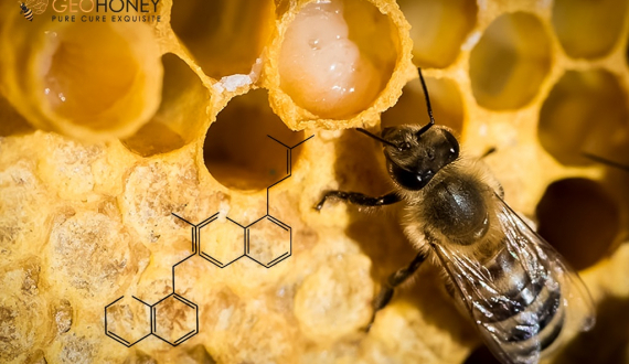 Royal Jelly – Chemical Composition and Its Bioactive Compounds