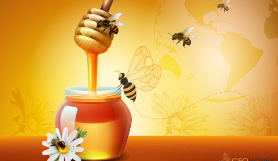 Celebrate World Bee Day With Exciting Offers At Geohoney