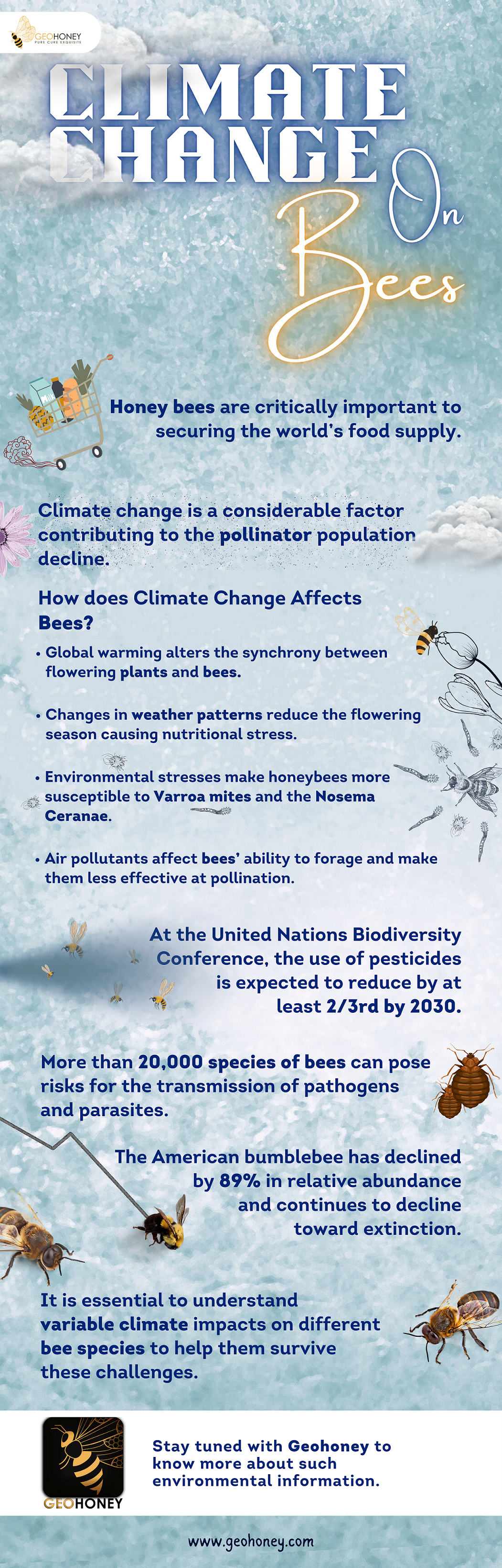 تأثير تغير المناخ على النحل