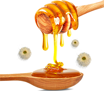 Wandoo honey's properties