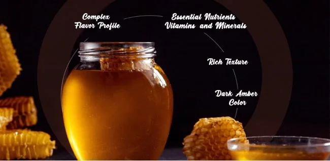 Properties Of rainy forest Honey