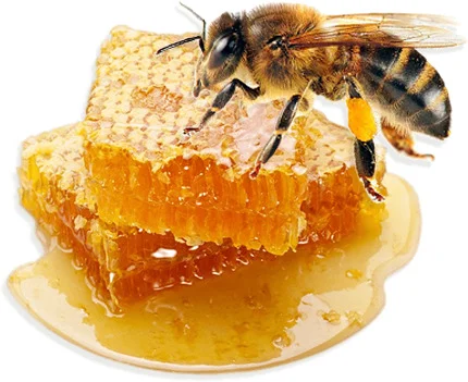 Wandoo Honey Purity