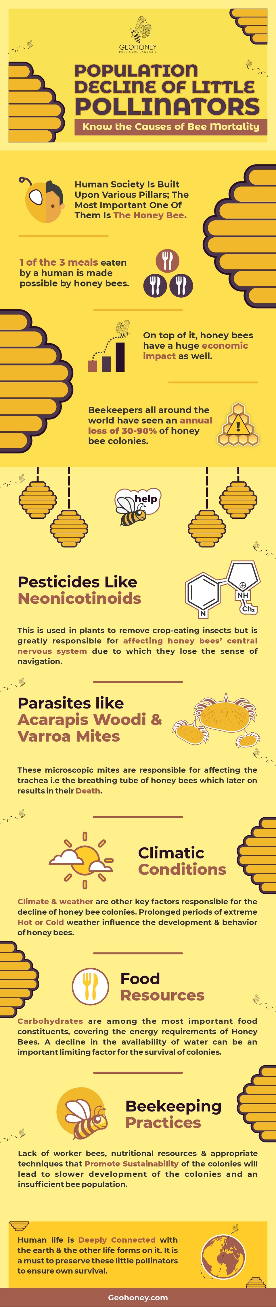 Population Decline Of Little Pollinators: Know The Causes Of Bee Mortality