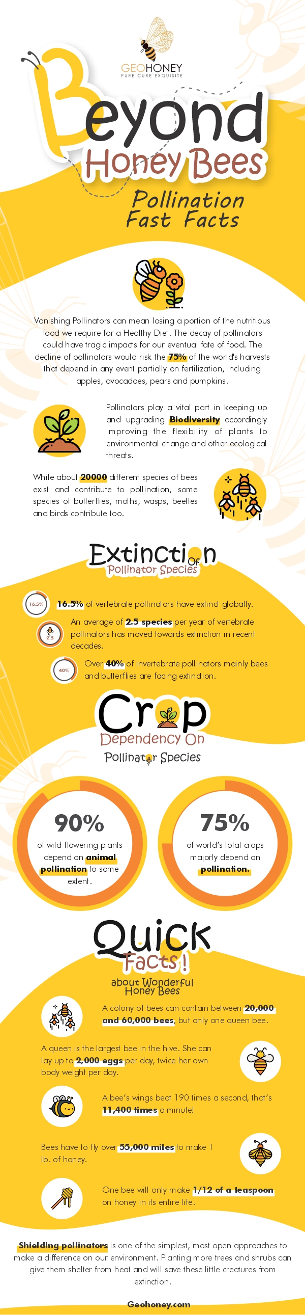 Beyond Honey Bees: Pollination Fast Facts