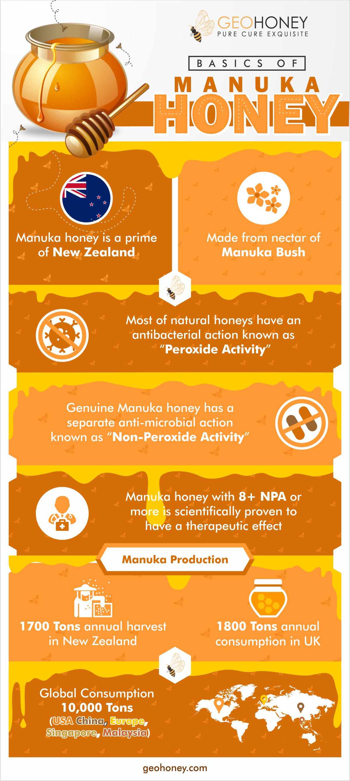 Manuka Honey Basics - Geohoney