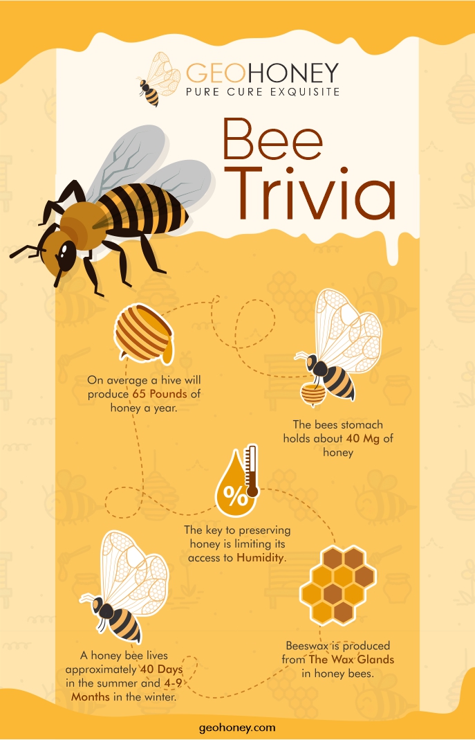 Bee Trivia - Geohoney