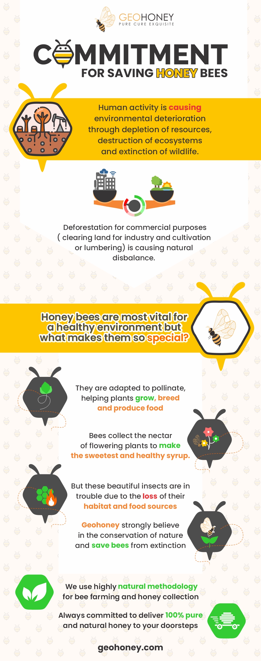Saving honey bees infographic