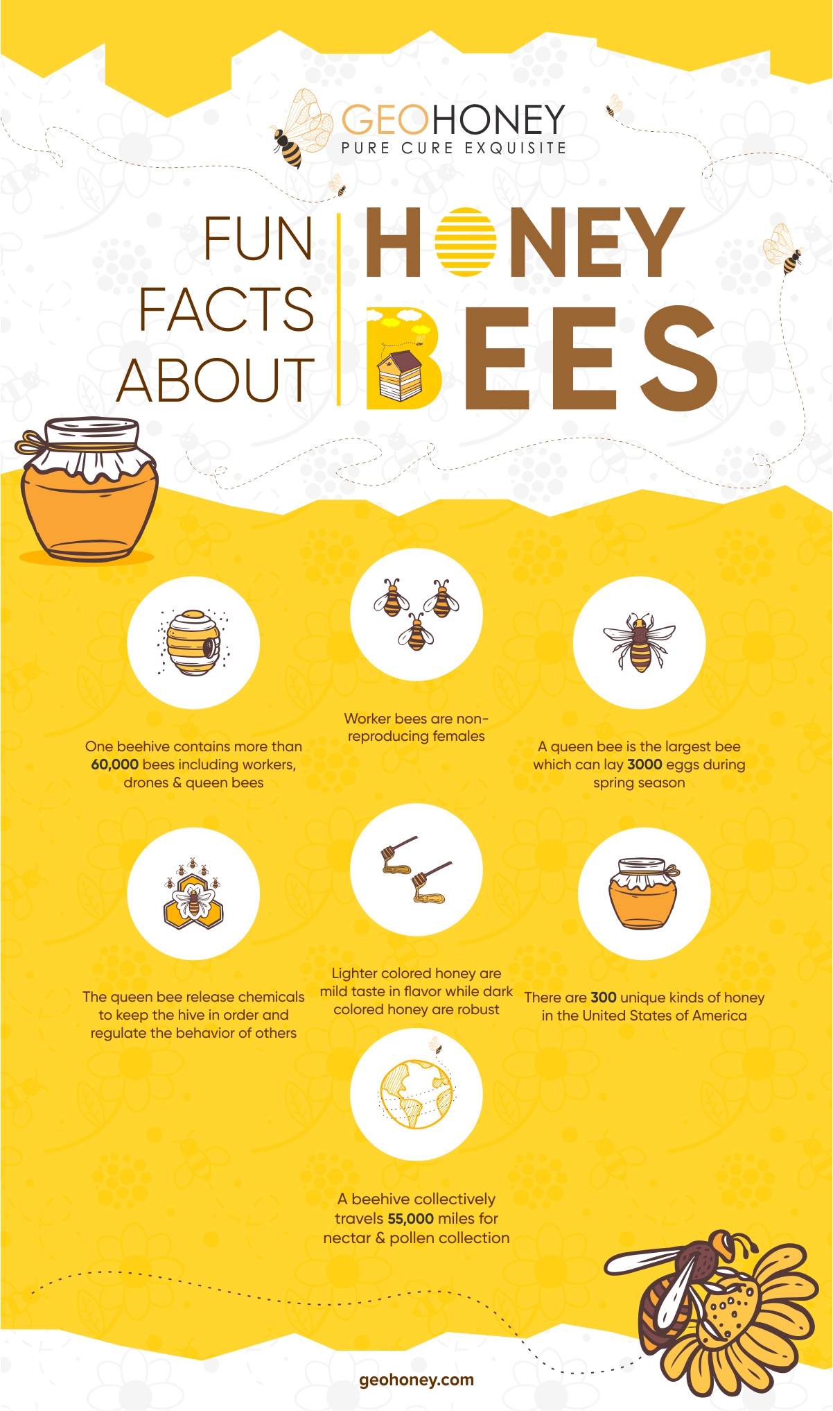 Fun Facts About Honey Bees | Geohoney