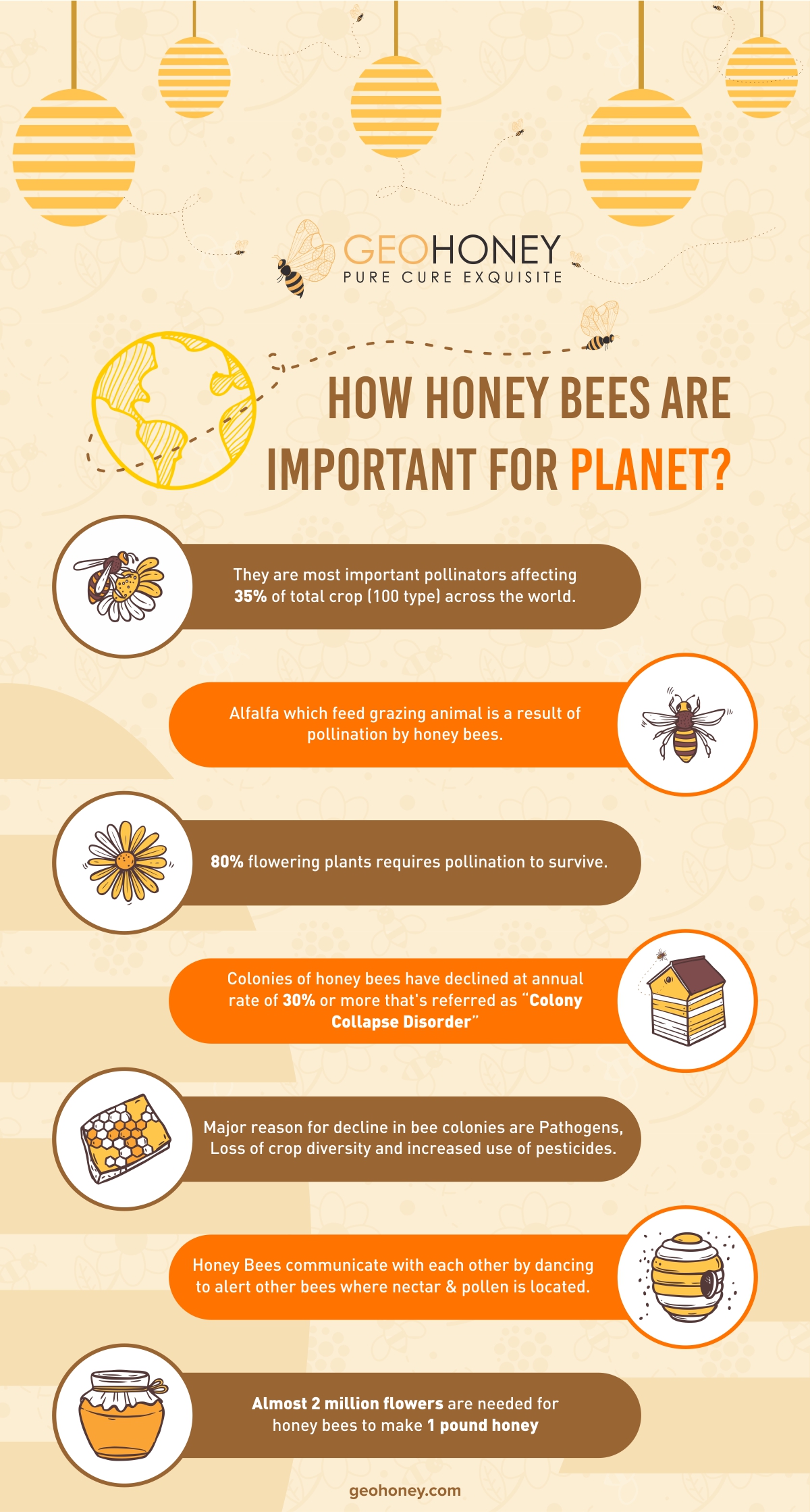 Honey bees are important -Geohoney