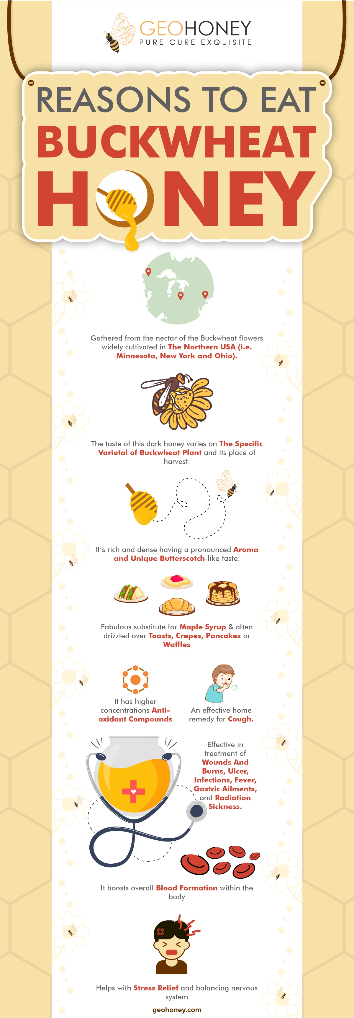 Reasons To Eat Buckwheat Honey Infograph Geohoney