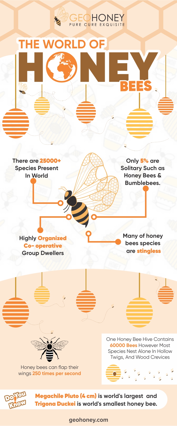 عالم النحل - Geohoney