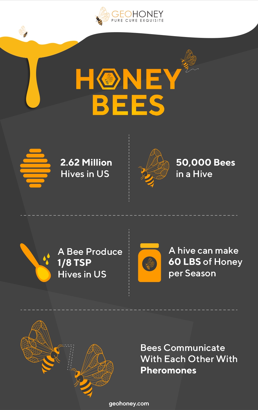 Honey Bees - Geohoney