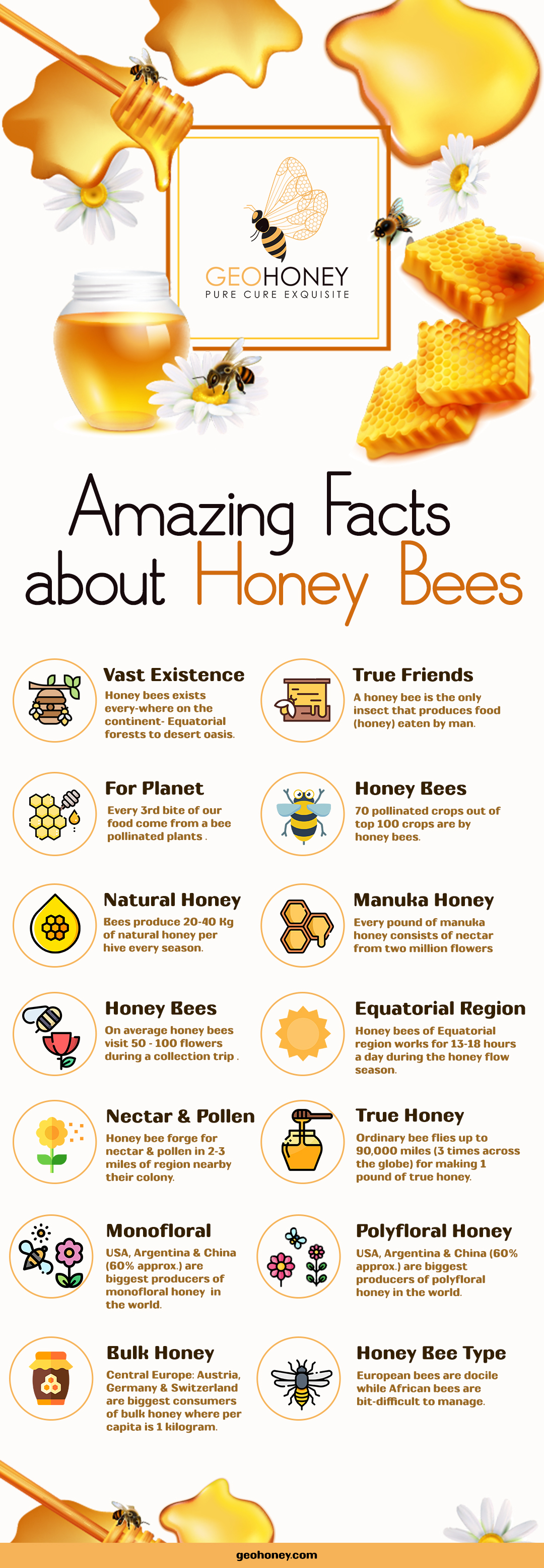 Honey bee facts - Geohoney