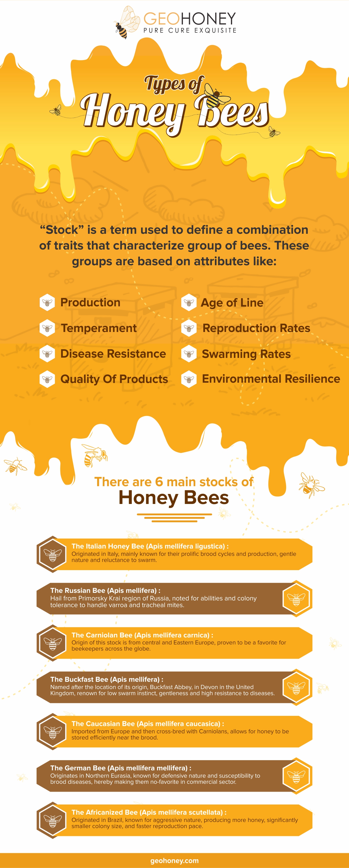 types of honey bees - Geohoney