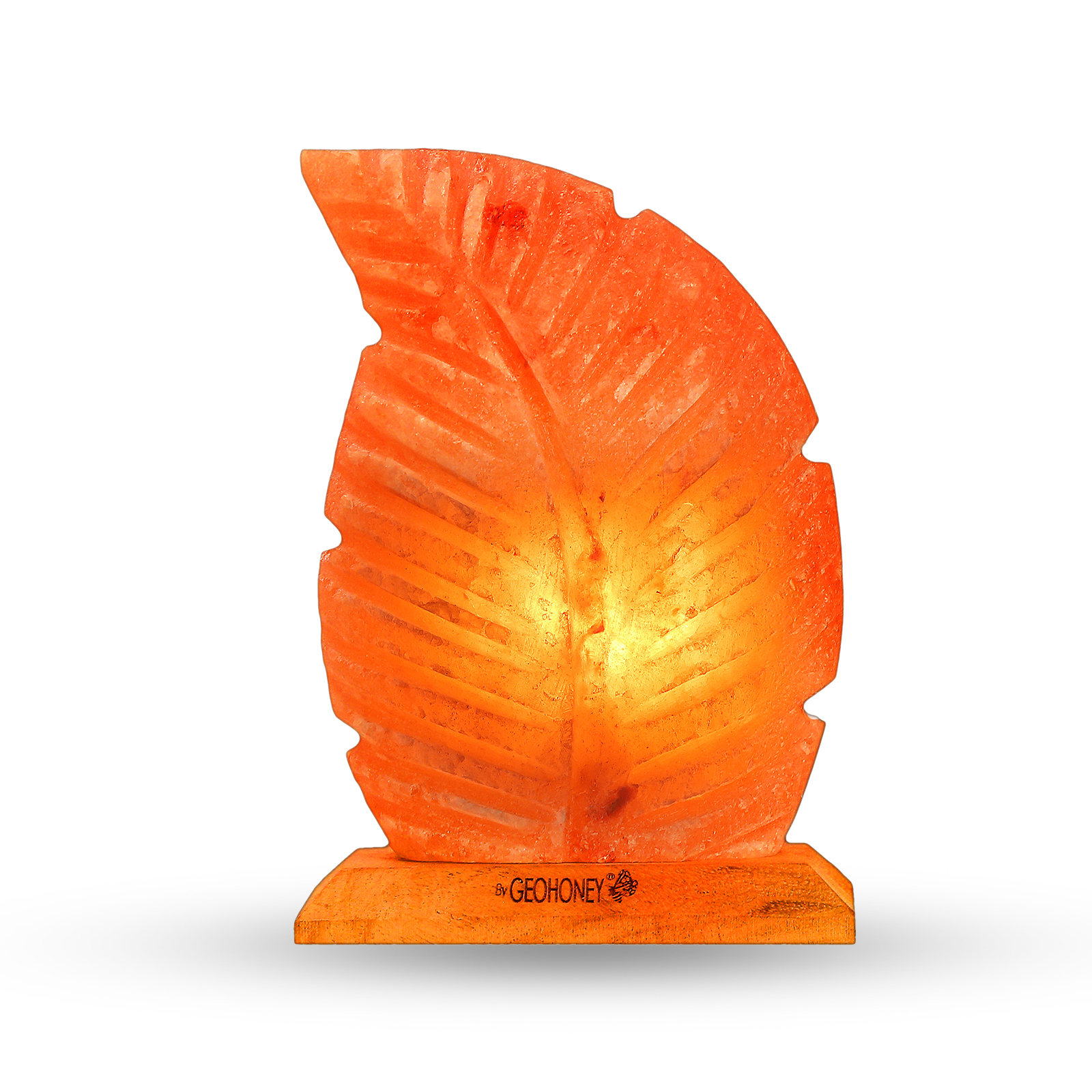 Himalayan Salt Lamp - Feather